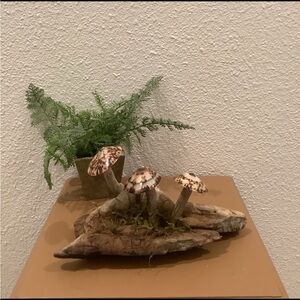 Driftwood Art, Driftwood & Seashell Mushroom Art, Mushroom Art, Coastal Art